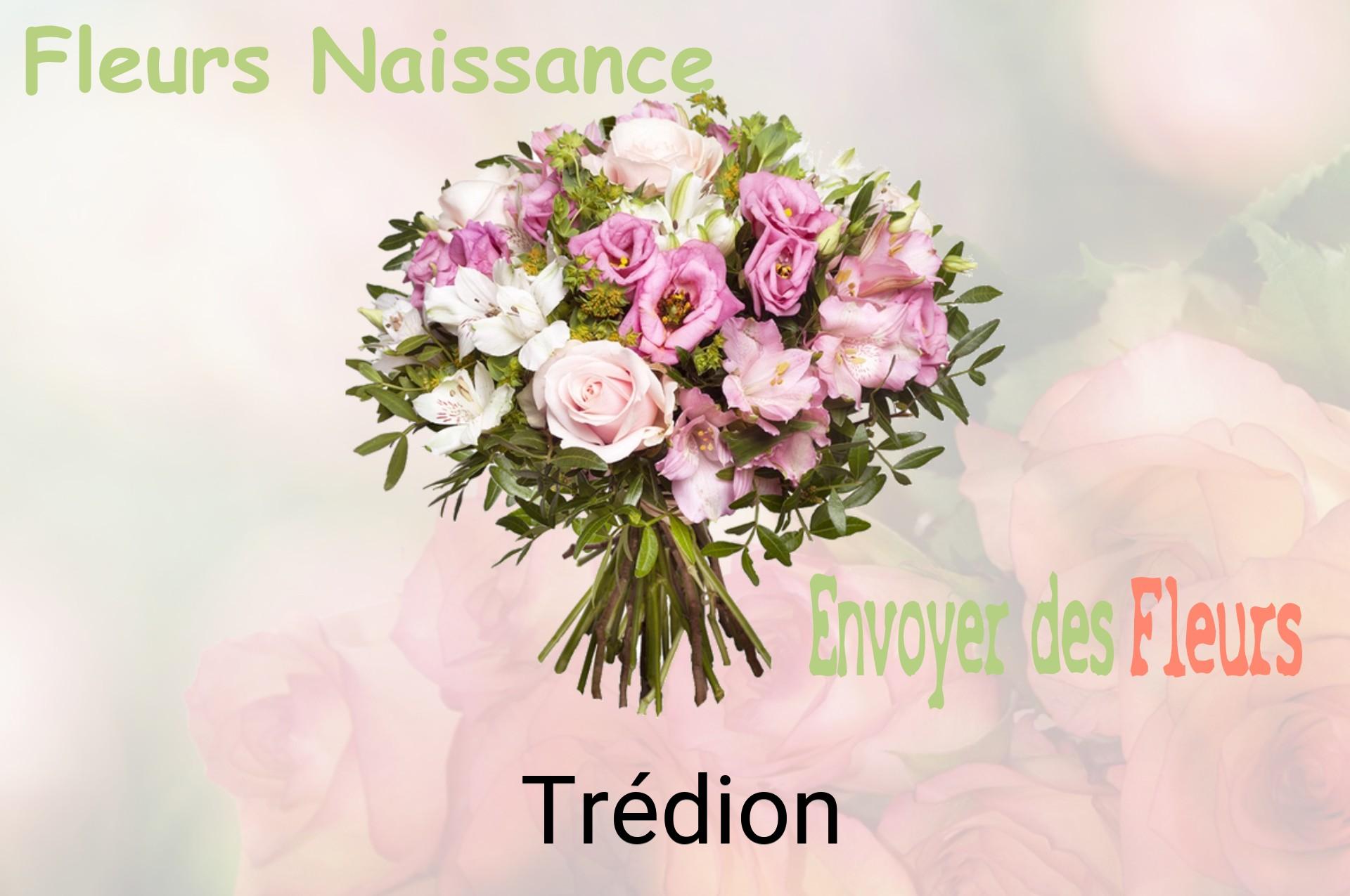 Bouquet de fleurs de naissance livré à Trédion