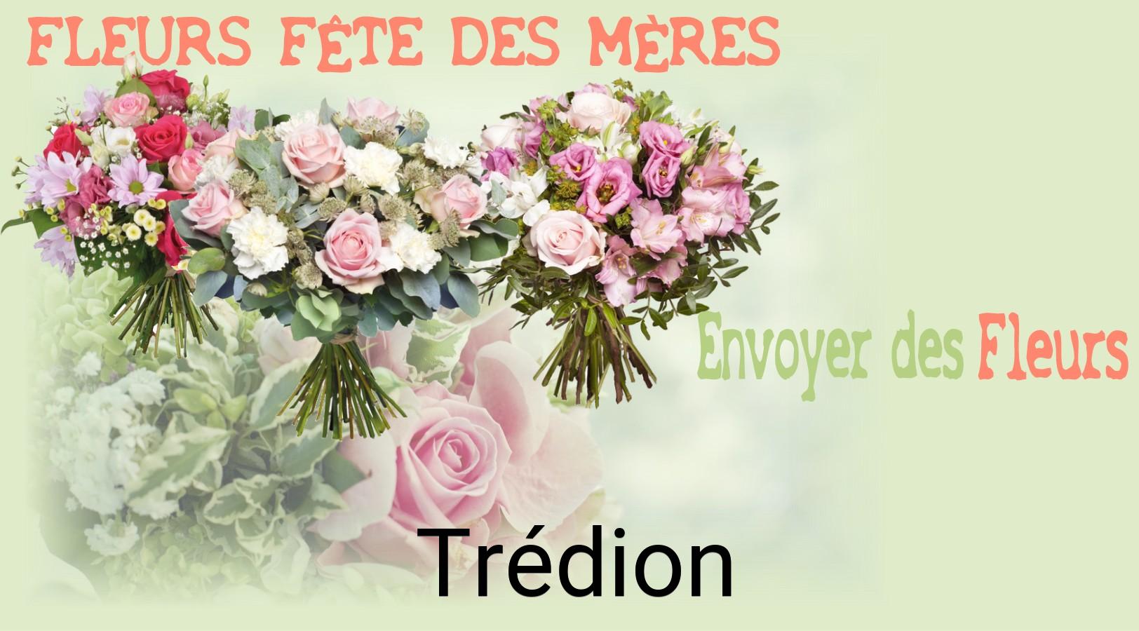 Bouquet de Fête des Mères livré à Trédion
